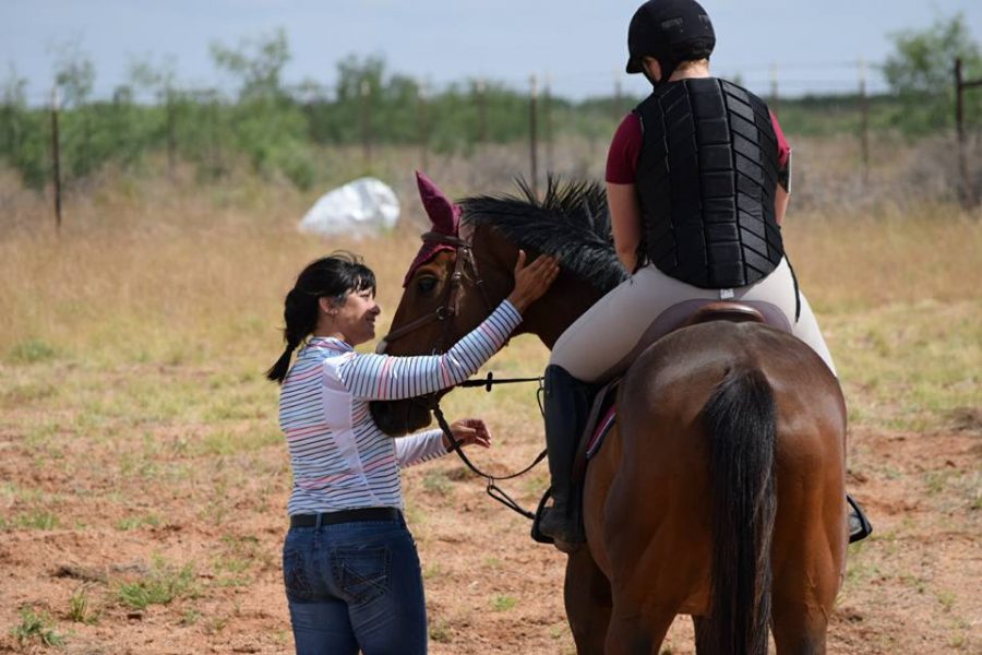 Paladino encouraging a students young horse as they tackle the water complex for the first time during cross schooling at Skyline Farms in Midland, TX.