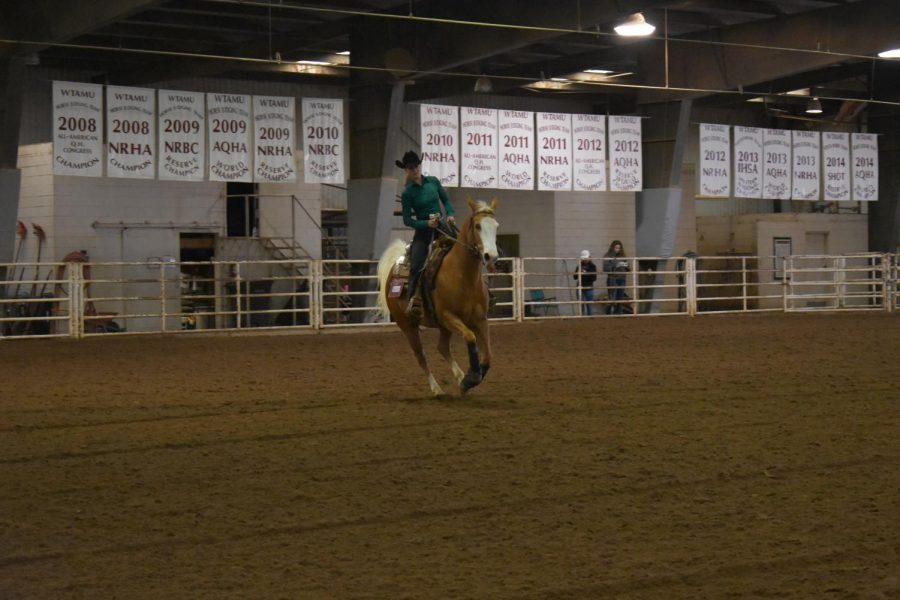 Senior Rayleigh Rowell shows her horse in the section A open reigning class of the competition.