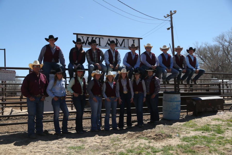 WTAMU+rodeo+team+is+looking+to+compete+in+the+College+National+Finals+Rodeo.
