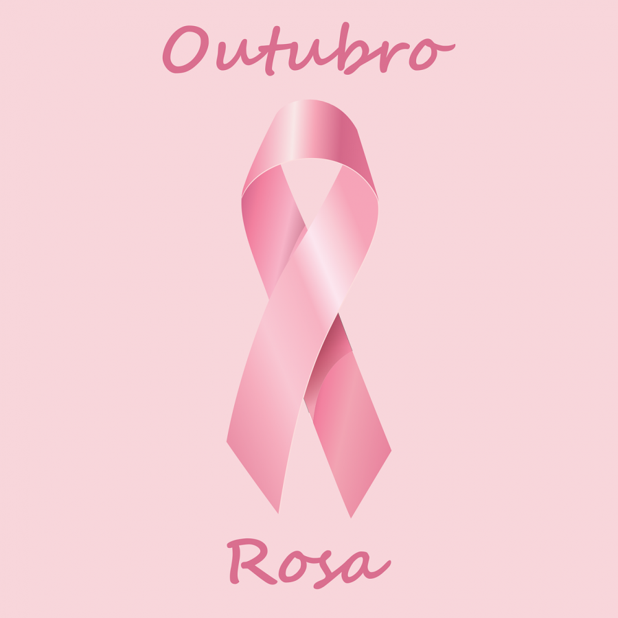 october-pink-1718025_1280
