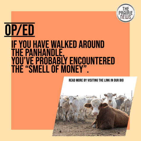 If you have walked around the Great Plains, youve probably encountered the “smell of money”, as the local community calls it. 