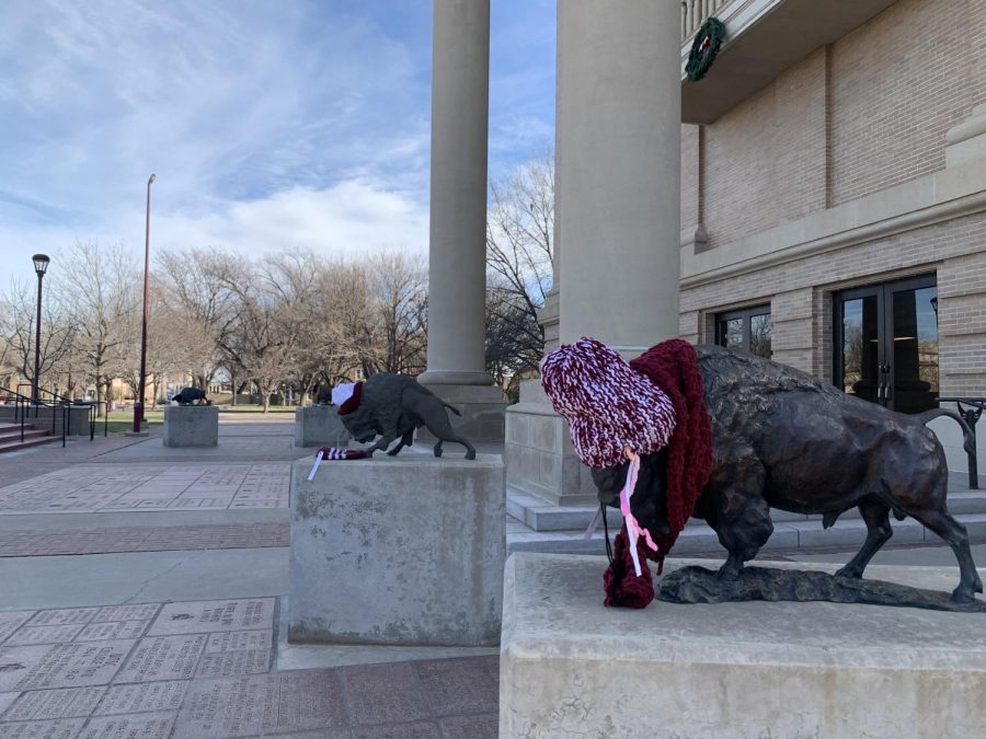 Beta Sigma Phi donned hand-knit hats and scarves on the memorial statues of past live WT mascots during the 2022 Yarn Bombing around the Charles K. and Barbra Kerr Vaughn Pedestrain Mall , Sunday, Jan. 9, 2022.
