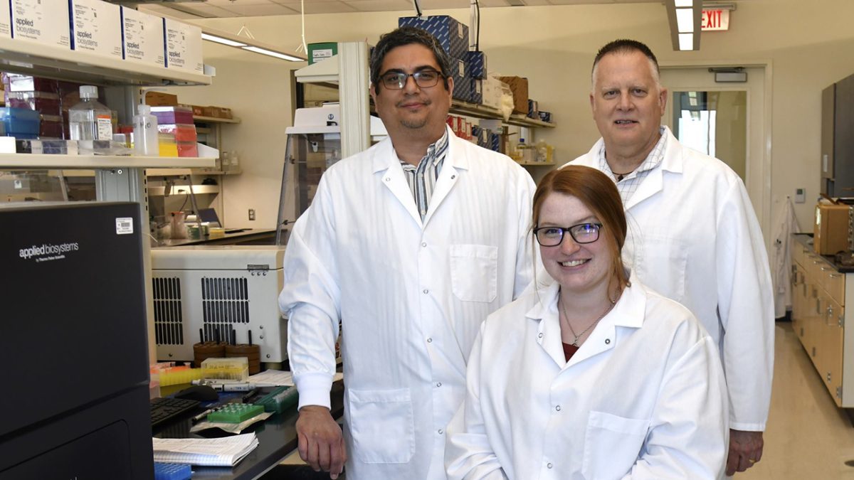 Ali Olsen-Gerlach, center, a second-year veterinary student from Wichita Falls, is conducting research at Veterinary Education, Research, & Outreach at West Texas A&M University and has been selected for a Veerinary Student Research Fellowship. She is shown with Dr. Robert Valeris-Chacin, assistant professor at VERO, and Dr. Paul Morley, professor and director of food animal research at VERO, with whom she is conducting the research.