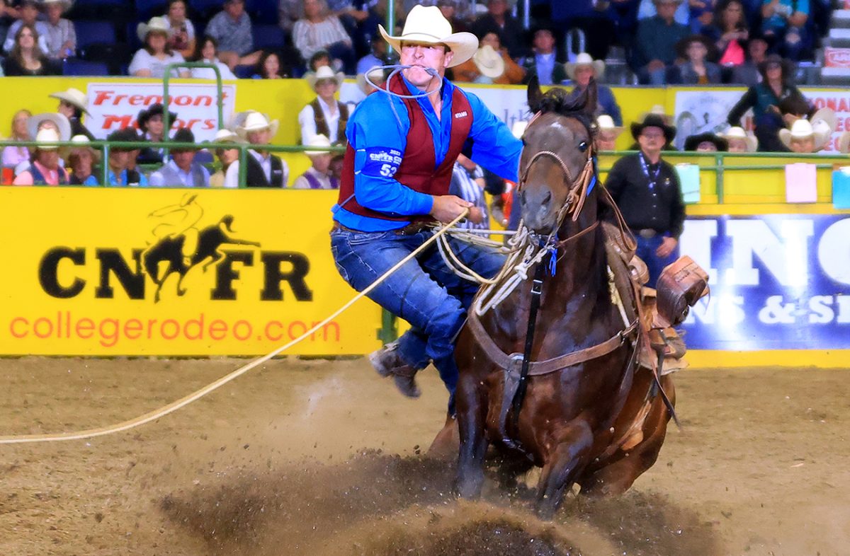 West Texas A&M University student Quade Hiatt is seen competing in the tie-down roping competition at the College National Finals Rodeo in Casper, Wyoming.