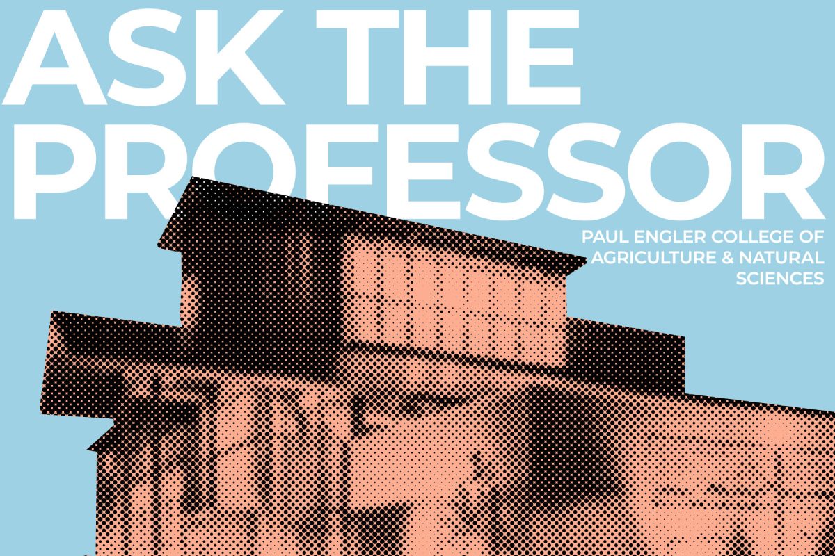 Ask the Professor: Dr. Ray Matlack, professor of biology
