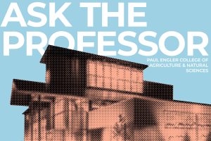 Ask the Professor: Dr. Loni Lucherk