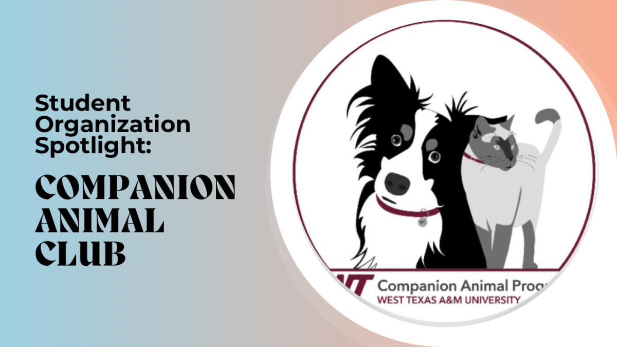 Student Organization Spotlight: Companion Animal Club