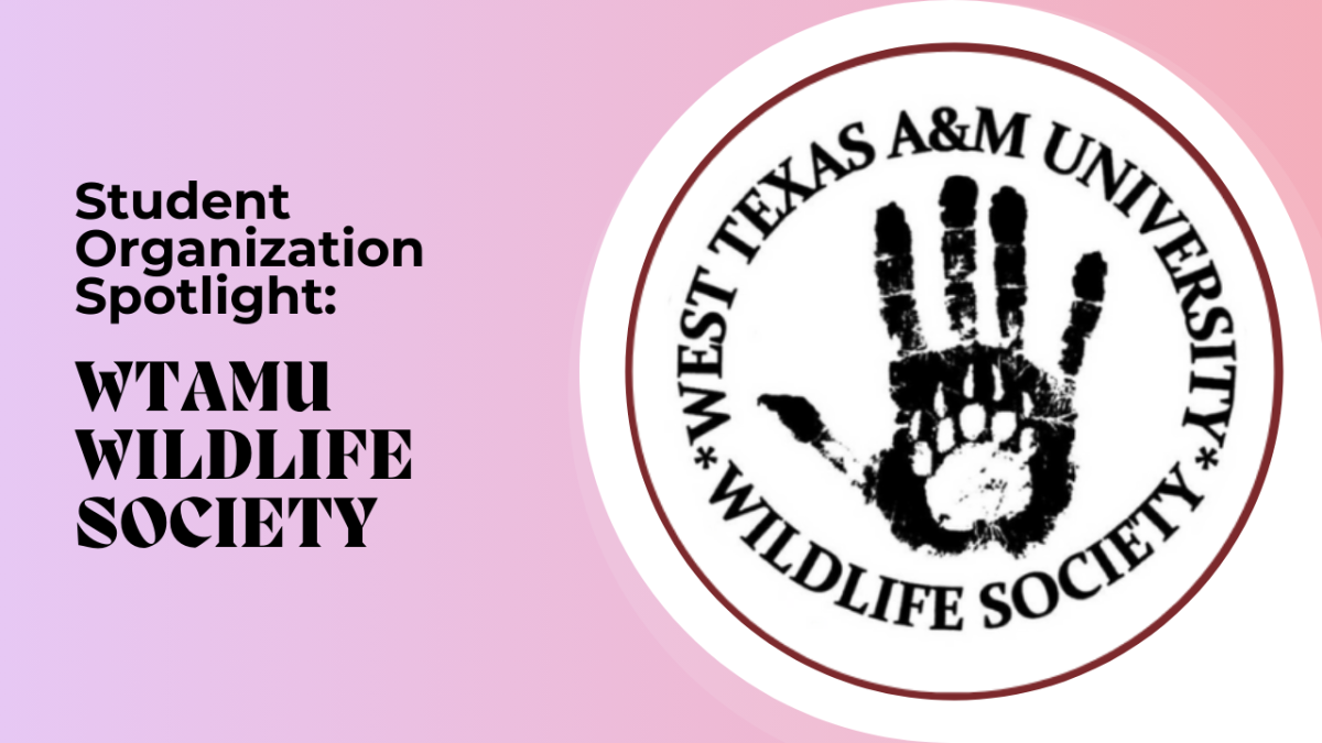 Student Organization Spotlight: Wildlife Society