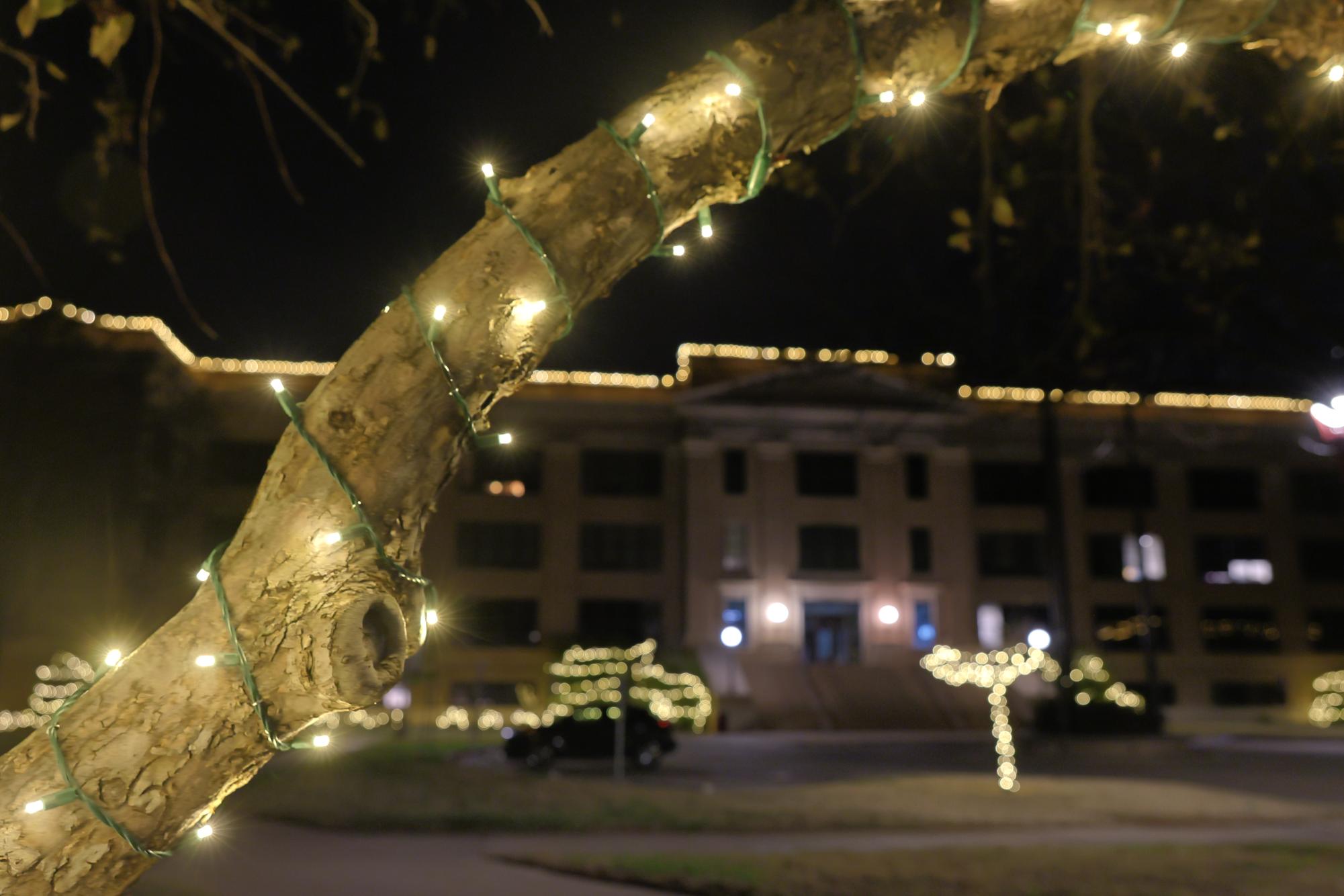 WT hosts annual Festival of Lights
